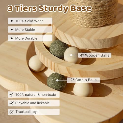 Vue 5 de Arbre Chat En