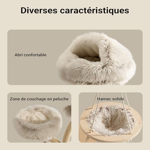 Vue 5 de Fudajo Arbre Chat Design