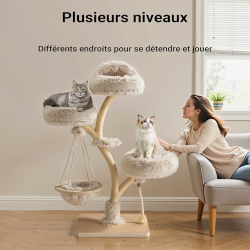 Vue 7 de Fudajo Arbre Chat Design