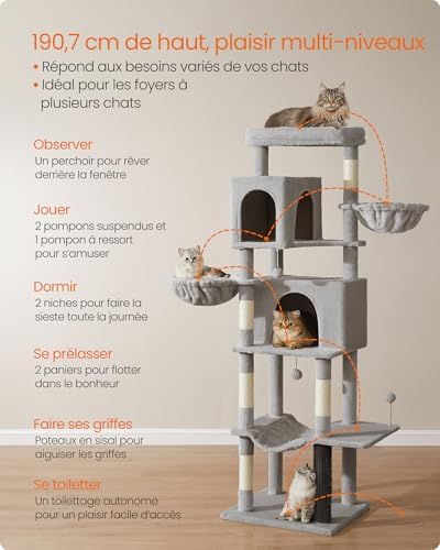 Vue 4 de Feandrea Grand Arbre