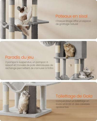 Vue 6 de Feandrea Grand Arbre