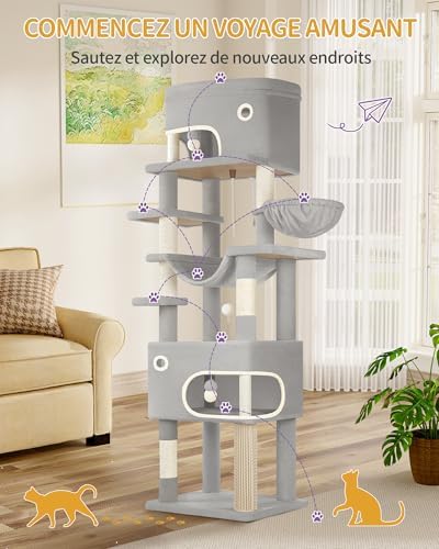 Vue 4 de Hzuaneri Arbre Chat