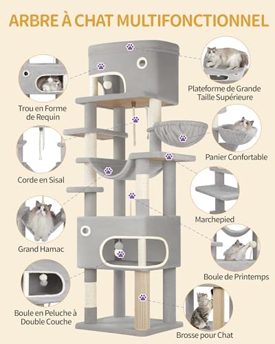 Vue 5 de Hzuaneri Arbre Chat