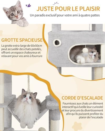 Vue 6 de Hzuaneri Arbre Chat