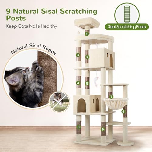 Vue 6 de Globlazer Arbre Chat