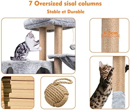 Vue 4 de Arbre Chatcm Arbre