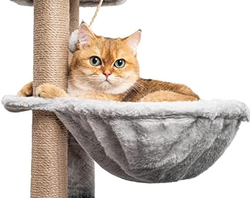 Vue 5 de Arbre Chatcm Arbre