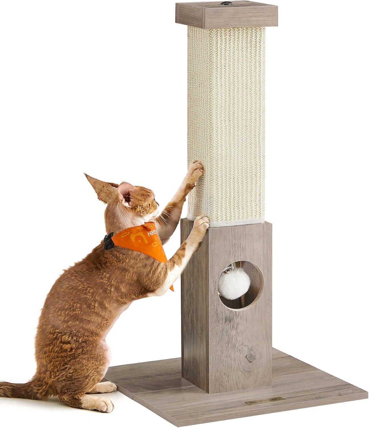 Feandrea Griffoir Pcag Tronc