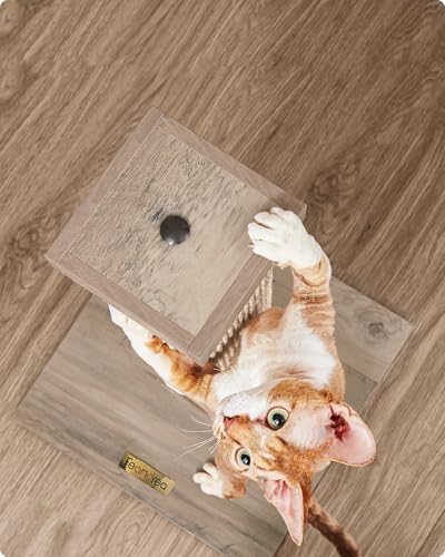 Vue 4 de Feandrea Griffoir Pcag Tronc