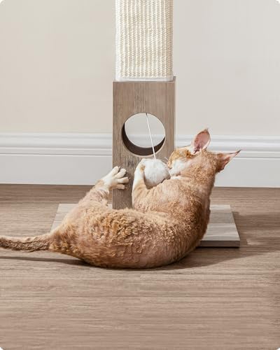 Vue 5 de Feandrea Griffoir Pcag Tronc