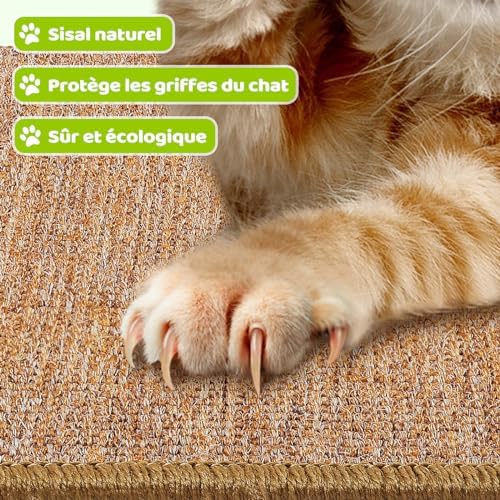 Vue 5 de Gblavm Tapis Griffoir Pour