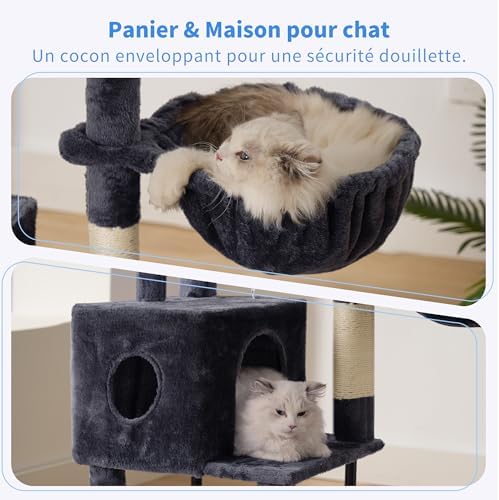 Vue 4 de Heybly Arbre Chat