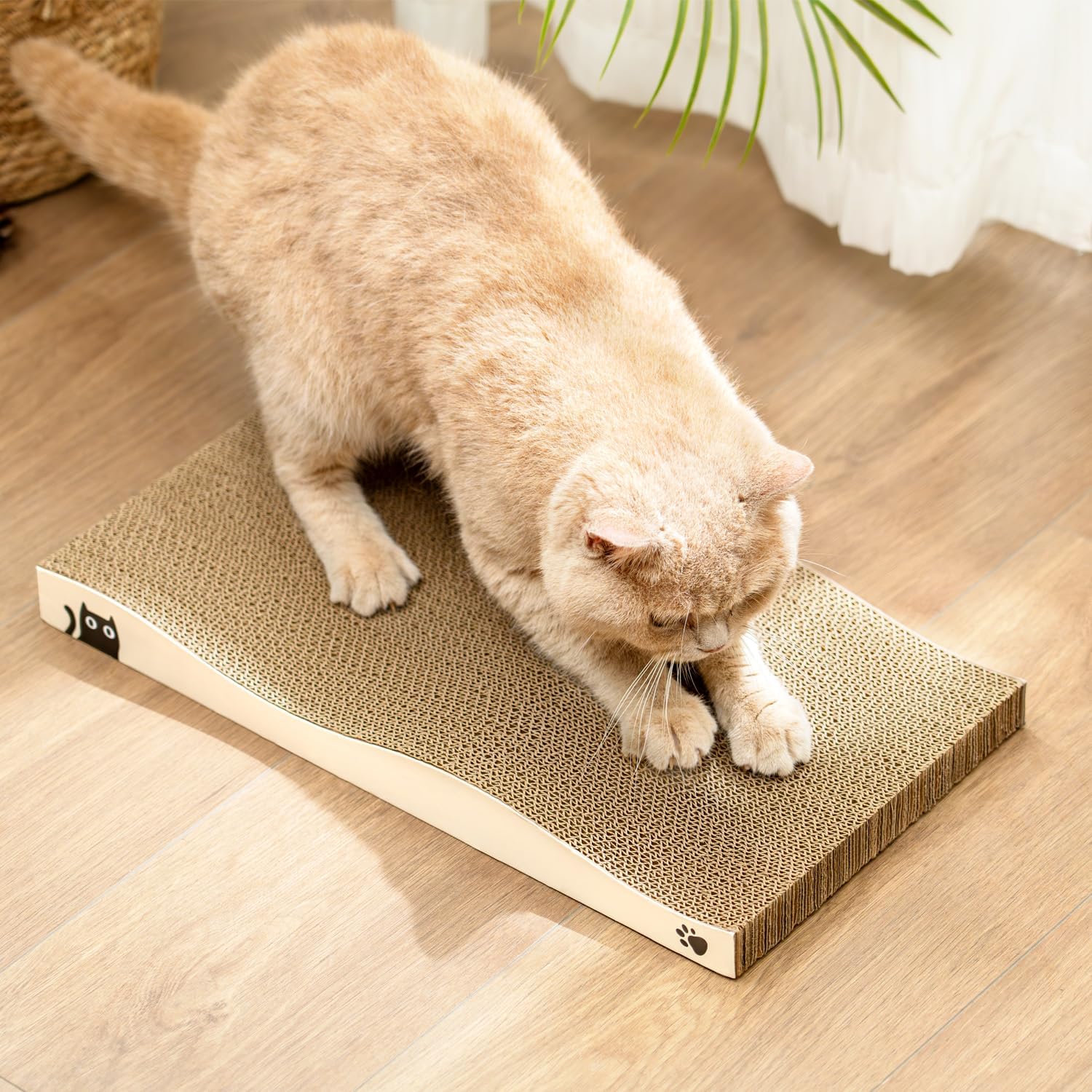 Conlun Griffoir Pour Chat