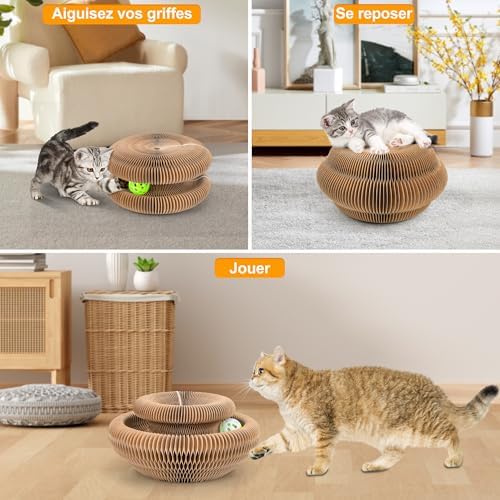 Vue 4 de Gofady Griffoir Pour Chat