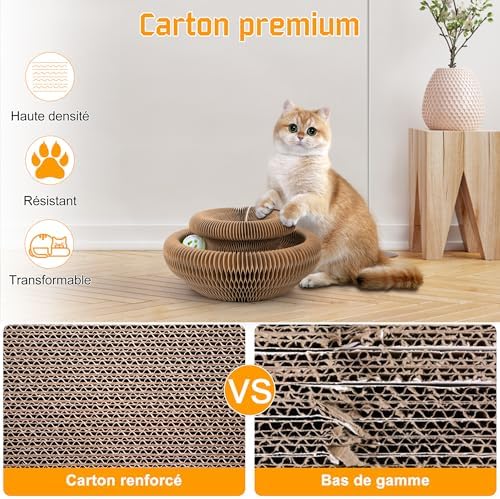 Vue 5 de Gofady Griffoir Pour Chat