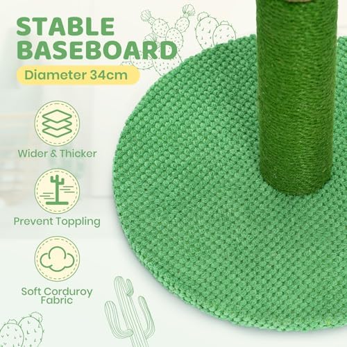 Vue 6 de Happy Polly Cactus Griffoir