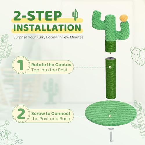 Vue 7 de Happy Polly Cactus Griffoir