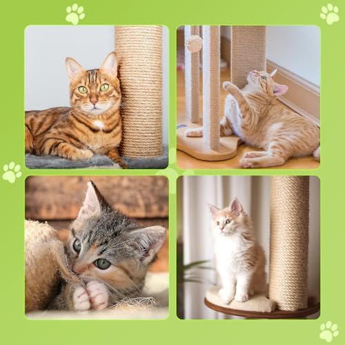 Vue 6 de Corde Sisal