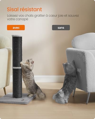 Vue 4 de Feandrea Arbre Chat