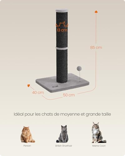 Vue 6 de Feandrea Arbre Chat