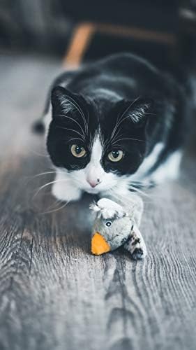 Vue 5 de Aime Jouet Interactif Pour