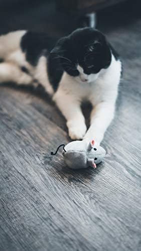 Vue 6 de Aime Jouet Interactif Pour