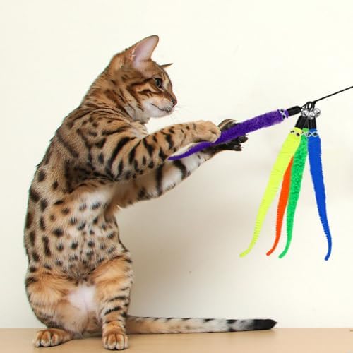 Vue 4 de Pieces Jouet Chat Plumejouet