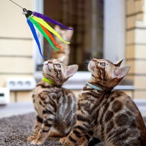 Vue 5 de Pieces Jouet Chat Plumejouet