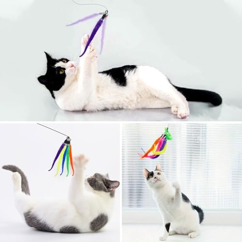 Vue 7 de Pieces Jouet Chat Plumejouet