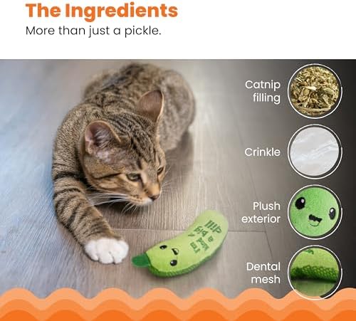 Vue 5 de Petstages Crunchy Pickle Kicker