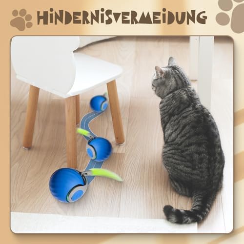 Vue 4 de Gmteo Jouet Interactif Pour