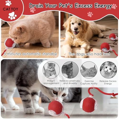 Vue 4 de Afaneep Balle Interactive Avec