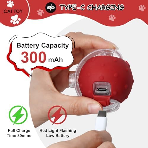 Vue 5 de Afaneep Balle Interactive Avec