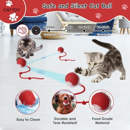 Vue 6 de Afaneep Balle Interactive Avec