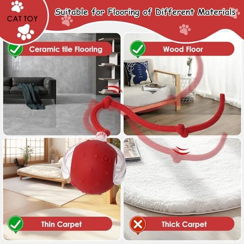 Vue 7 de Afaneep Balle Interactive Avec