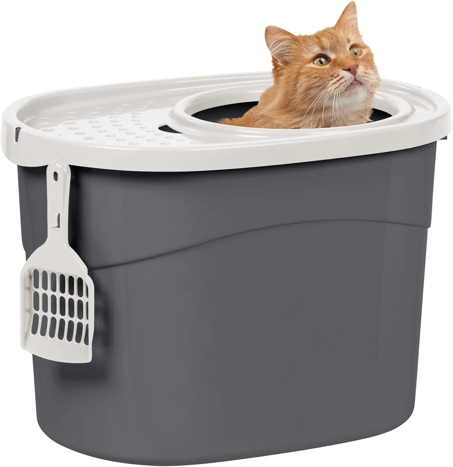 Iris Ohyama Maison De