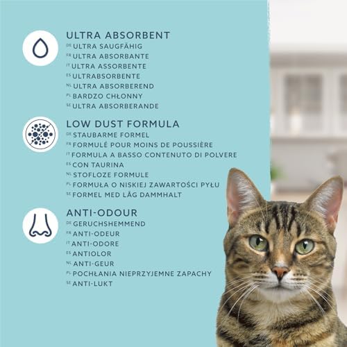 Vue 4 de By Amazon Litiere Agglomerante