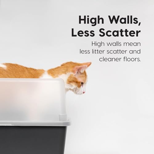 Vue 5 de Iris Ohyama Bac