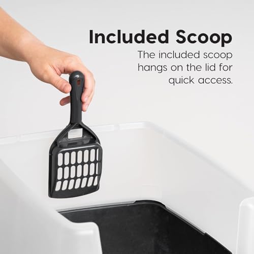 Vue 6 de Iris Ohyama Bac