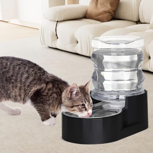 Vue 4 de Sfozstra Distributeur Automatique De