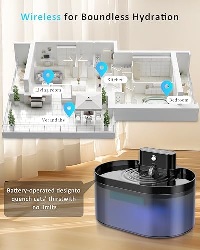 Vue 5 de Fontaine Eau Sans