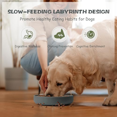 Vue 6 de Lesipee Gamelle Alimentation