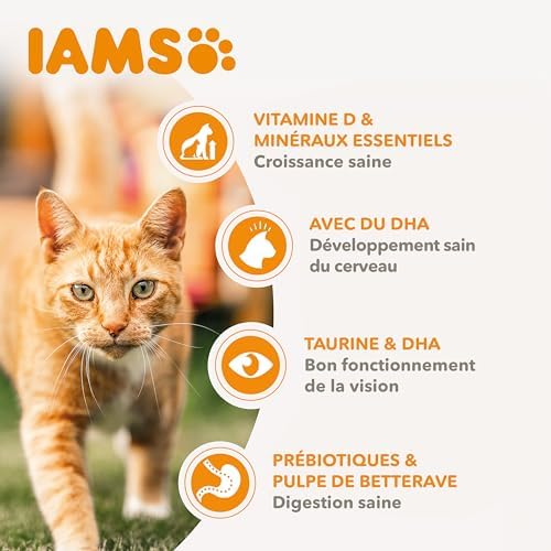 Vue 4 de Iams Vitality Croquettes Super