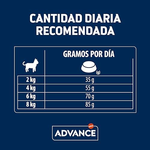 Vue 4 de Advance Cat Senior Sterilized