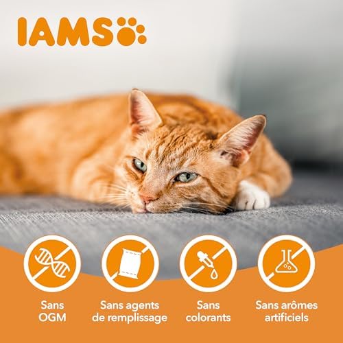 Vue 5 de Iams Vitality Croquettes Super