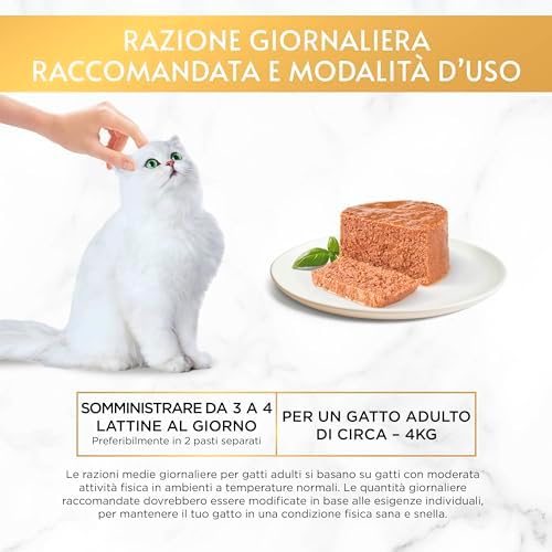 Vue 4 de Gourmet Gold En Mousse