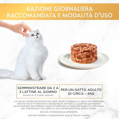 Vue 5 de Purina Gourmet Gold Lot