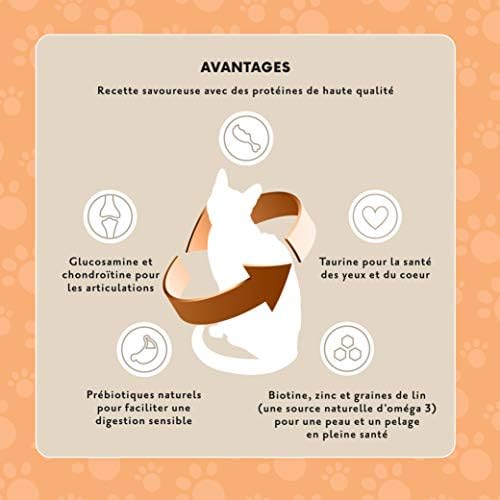 Vue 6 de Marque Amazon Lifelong Complete