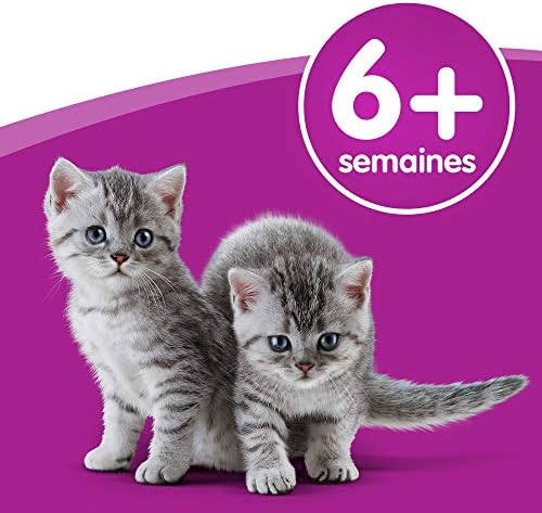 Vue 5 de Whiskas Lait Pour Chat