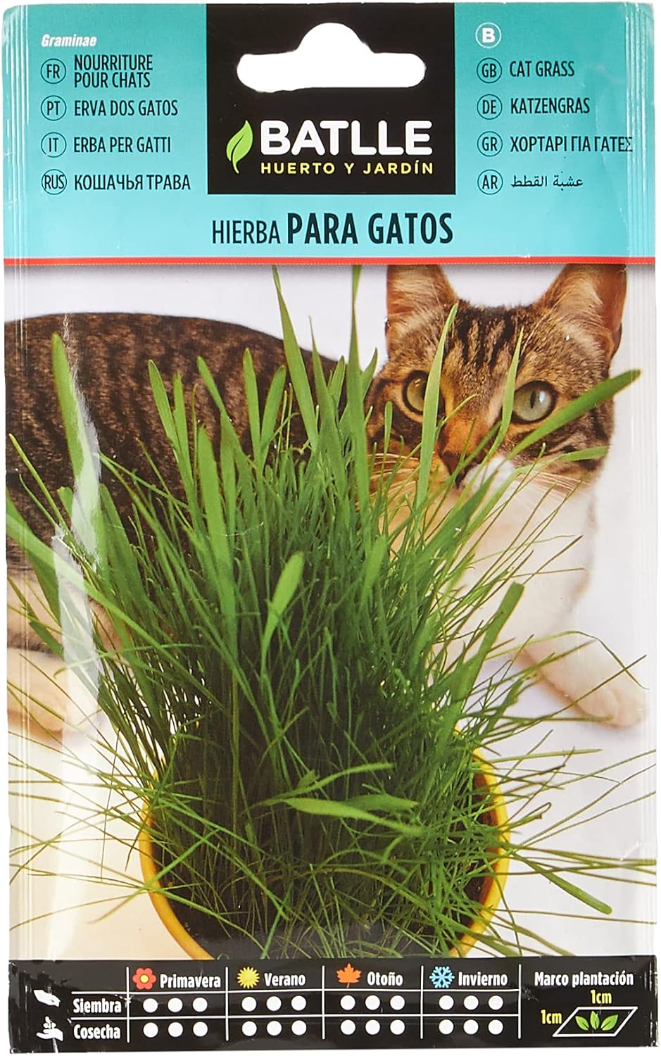 Graines Aromatiques De Batlle